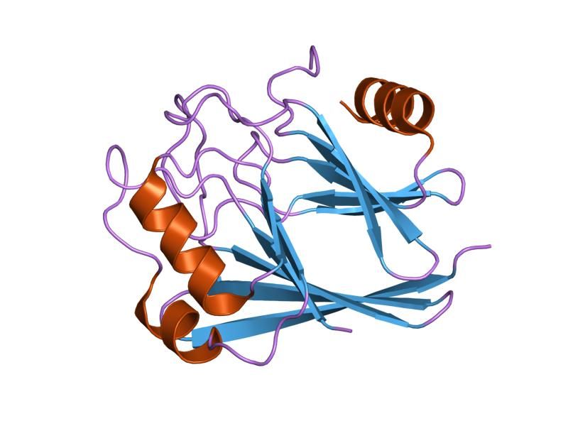 File:PDB 1w24 EBI.jpg