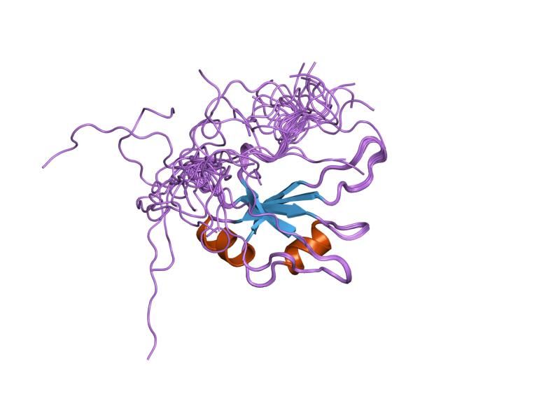 File:PDB 1wg5 EBI.jpg