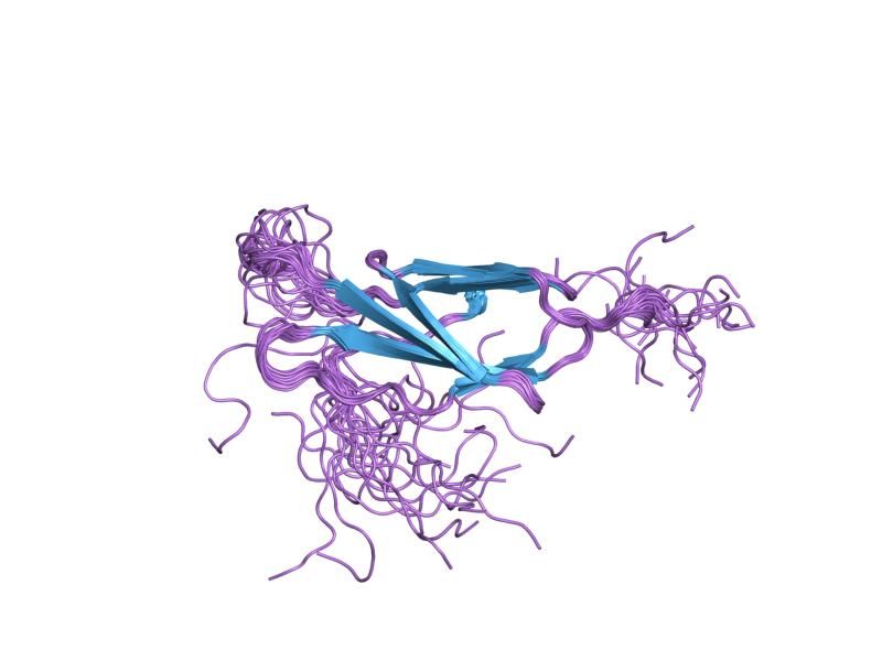 File:PDB 1x5a EBI.jpg