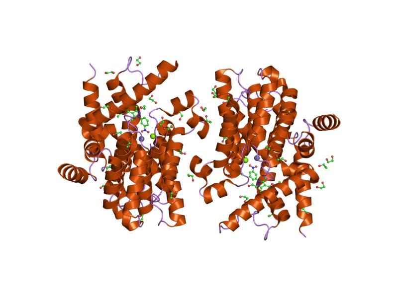 File:PDB 1y2k EBI.jpg