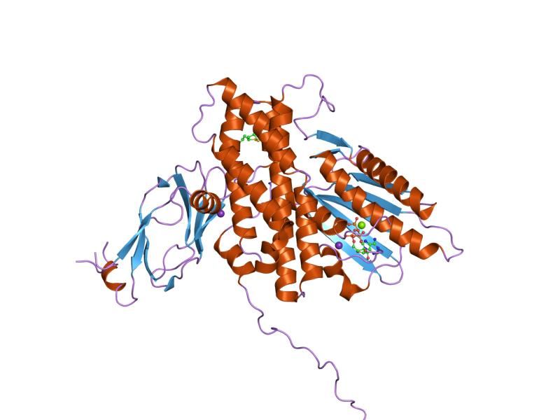 File:PDB 1y8p EBI.jpg