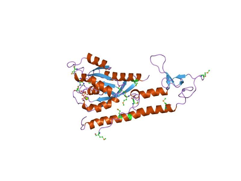 File:PDB 1zbd EBI.jpg