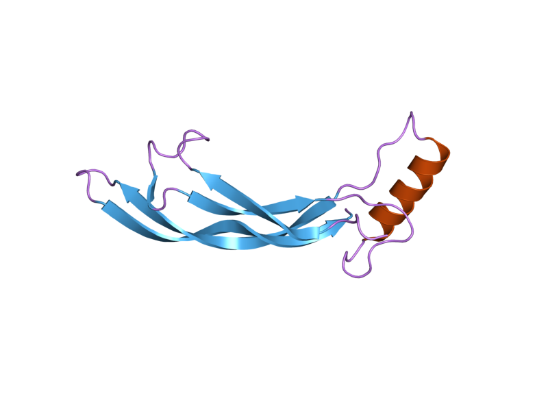 File:PDB 1zkz EBI.png