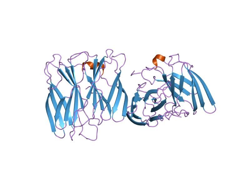 File:PDB 2dwy EBI.jpg