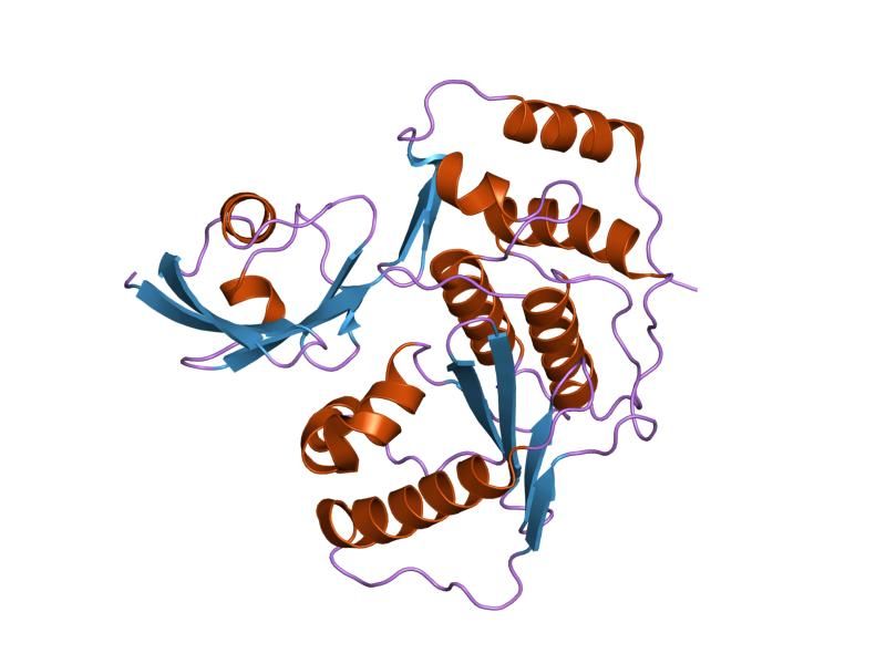 File:PDB 2iyd EBI.jpg