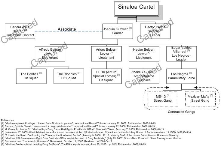 File:Sinaloa Cartel Hierarchy.JPG