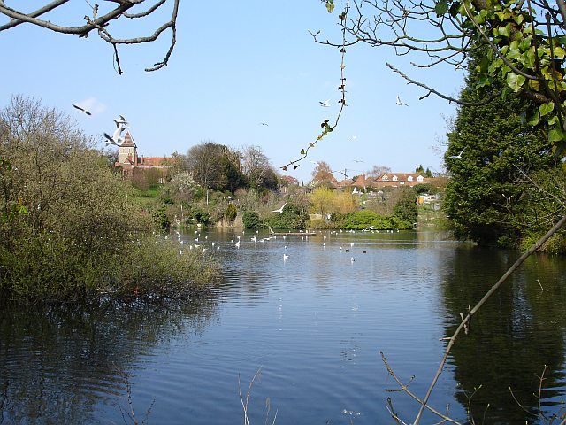 File:Stonebridge Pond - geograph.org.uk - 398021.jpg