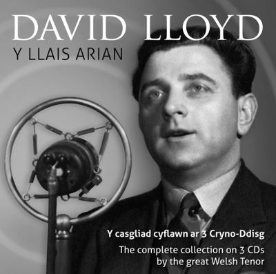 File:Y Llais Arian, album cover.jpg