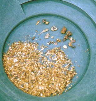 File:Alaska Gold in pan.jpg