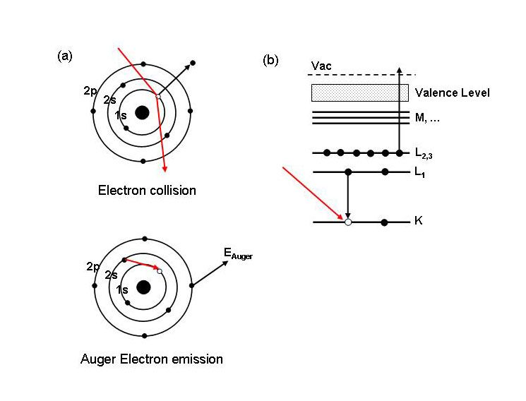 File:Auger Process.JPG