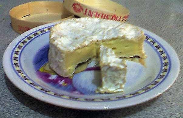 File:Cheese camembert on a plate 02.jpg