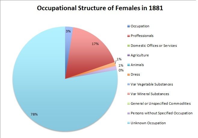 File:Occupational Structure of Females in 1881.jpg