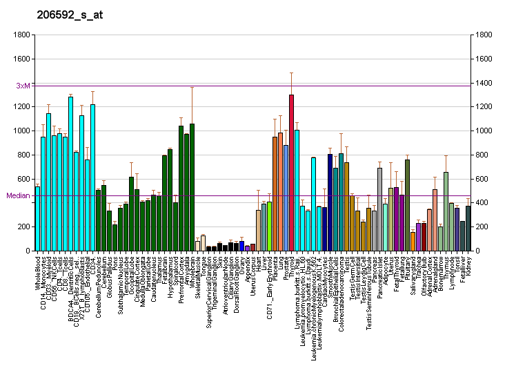 File:PBB GE AP3D1 206592 s at fs.png