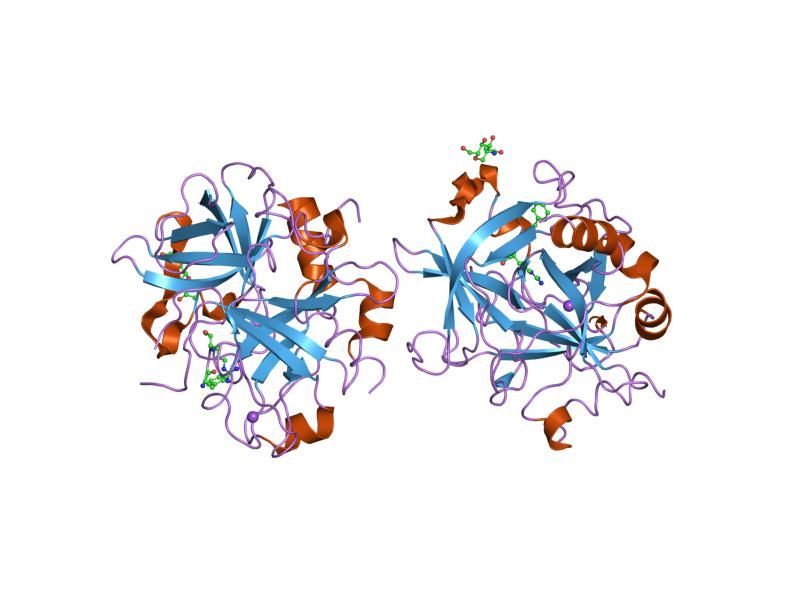 File:PDB 1sfq EBI.jpg