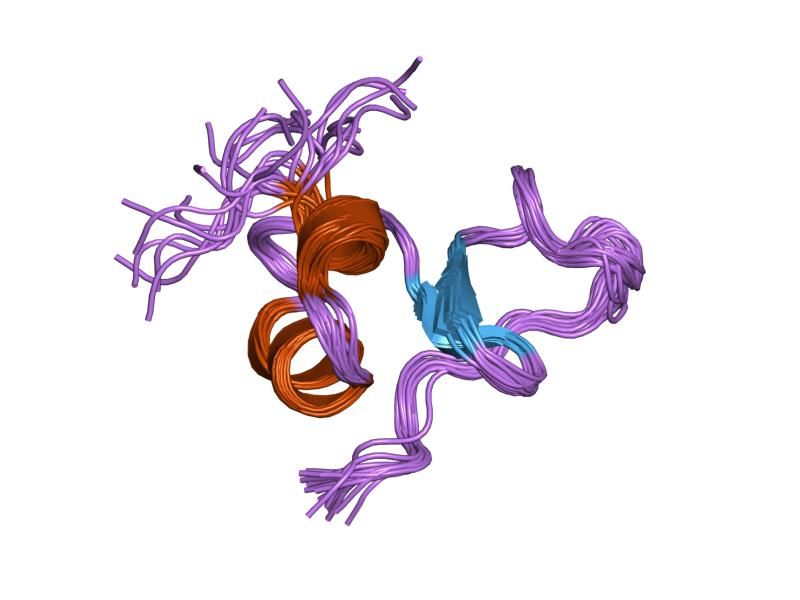 File:PDB 1ssl EBI.jpg