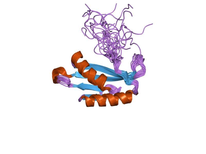 File:PDB 1ul7 EBI.jpg