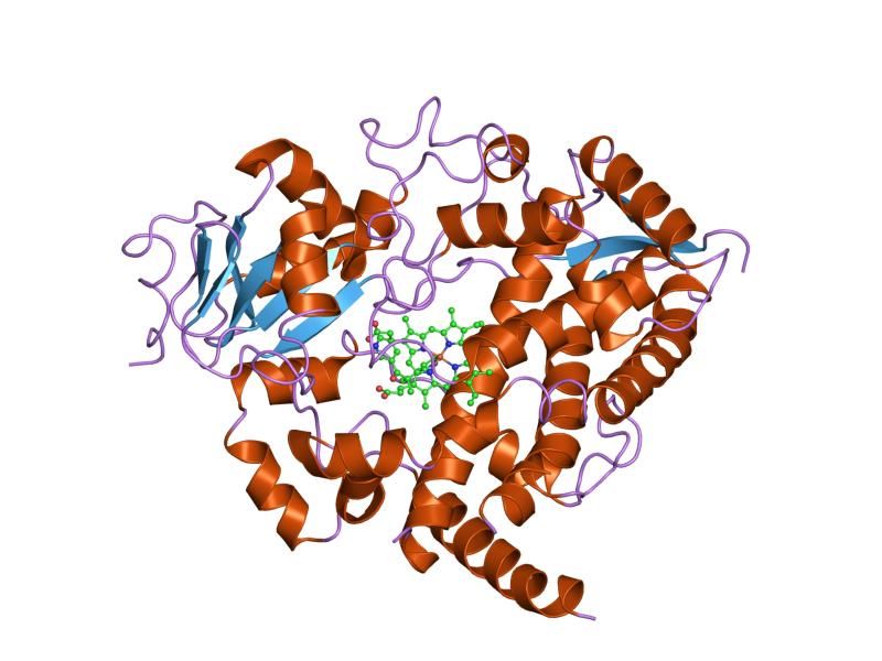 File:PDB 1w0g EBI.jpg