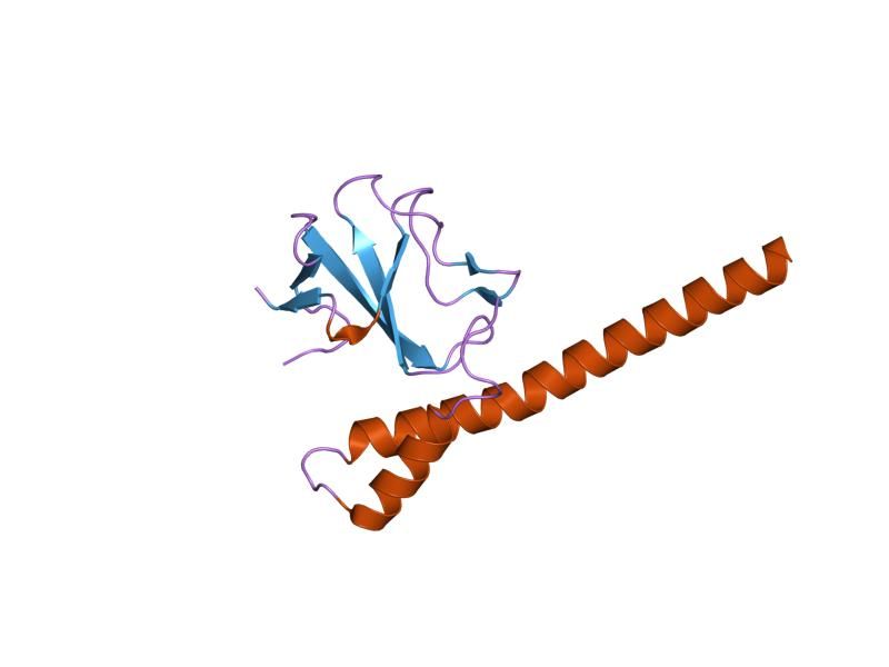 File:PDB 2hkq EBI.jpg