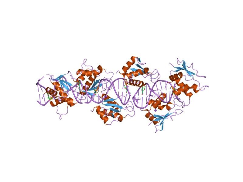 File:PDB 2irf EBI.jpg