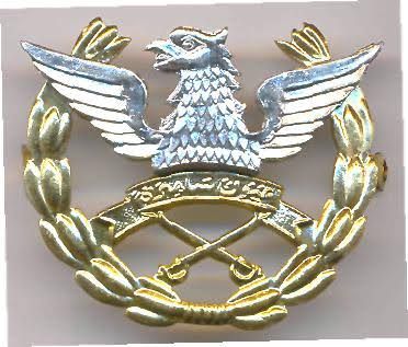 File:Pakistan Army Aviation Insignia.jpg