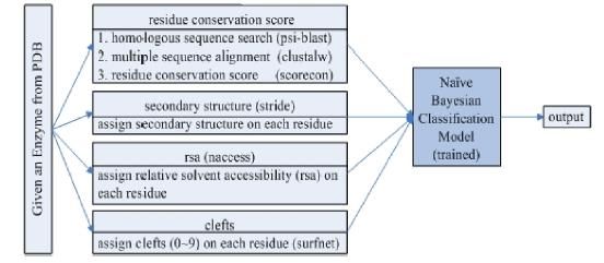 Prediction Model