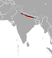 File:Tarai Gray Langur area.png