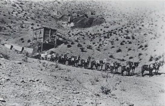 File:Tombstone-mine-mule-team.jpg