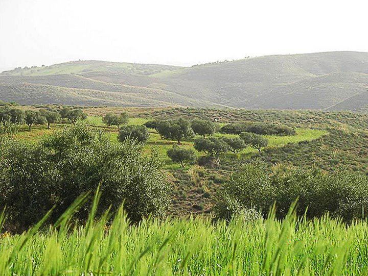 File:Al-Jabal Al-Akhdar.jpg