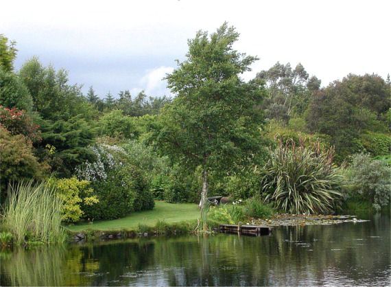 File:Glenwhan Garden - geograph.org.uk - 331064.jpg