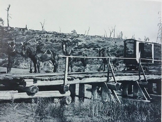 File:Horses on Rough Sawn Tracks.jpg