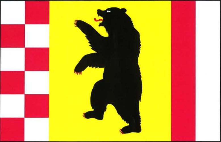 File:Nedvězí SY flag.jpg