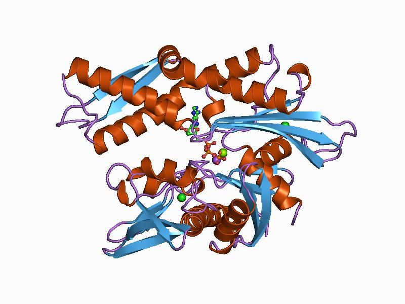 File:PDB 1ba0 EBI.jpg