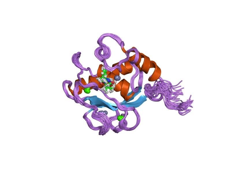 File:PDB 1eub EBI.jpg