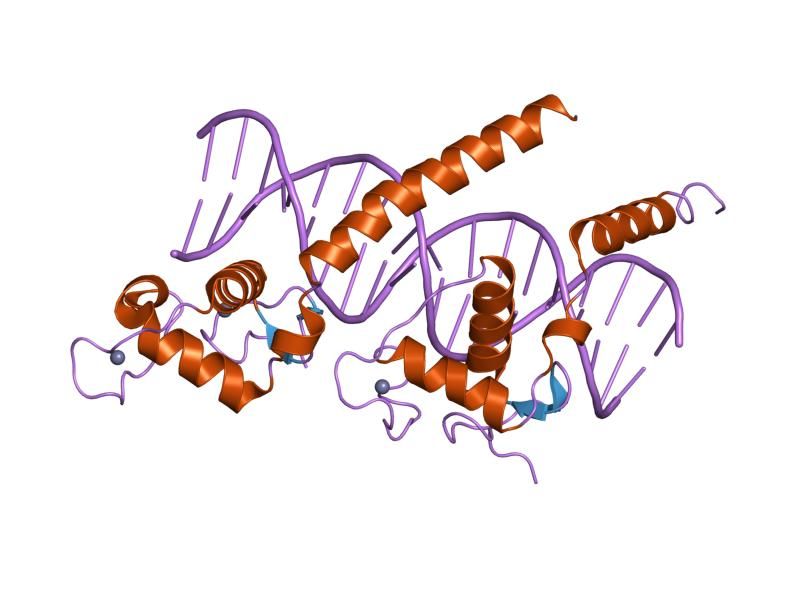 File:PDB 1kb6 EBI.jpg