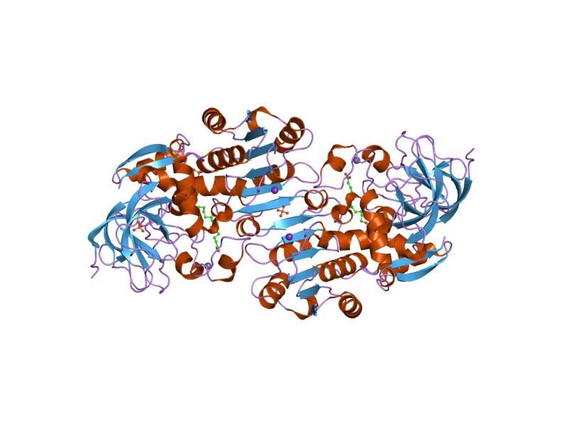 File:PDB 1m6w EBI.jpg