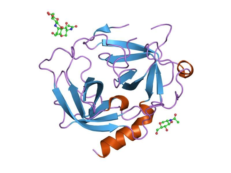 File:PDB 1nn6 EBI.jpg