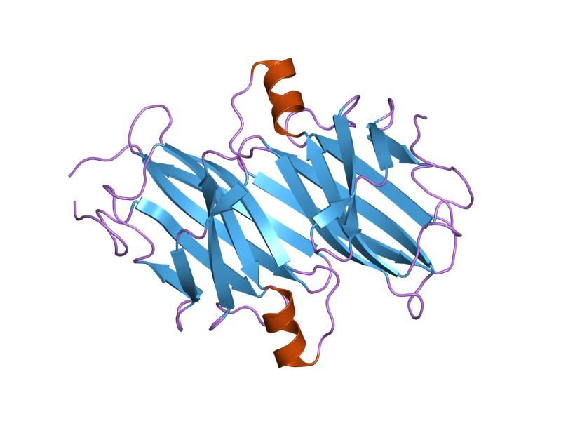 File:PDB 1tta EBI.jpg