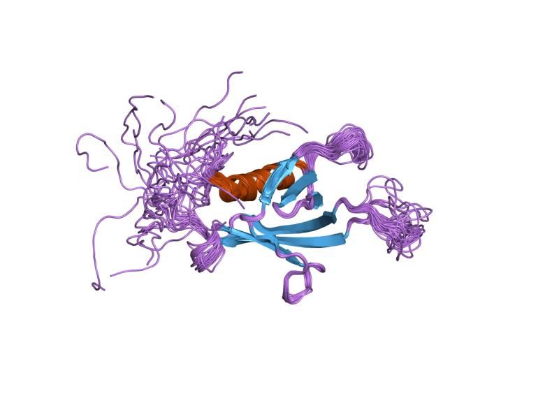 File:PDB 1v5m EBI.jpg