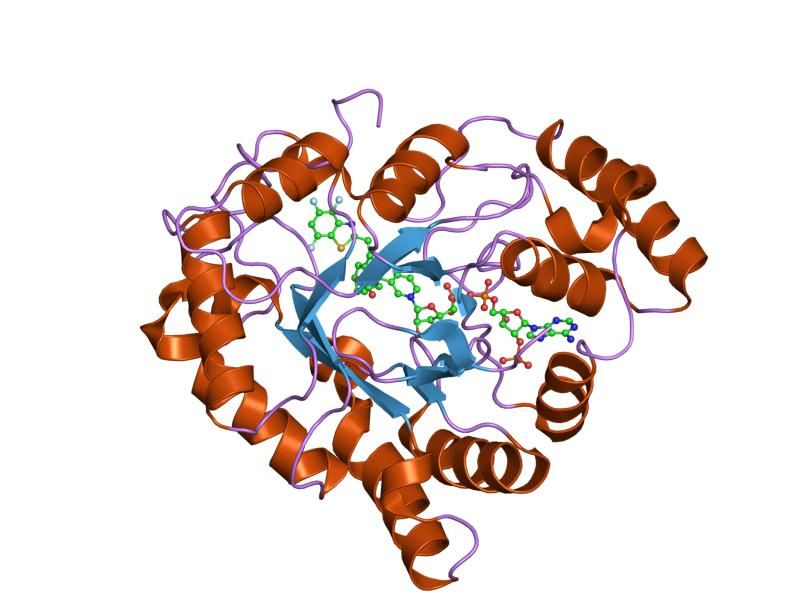 File:PDB 1z3n EBI.jpg