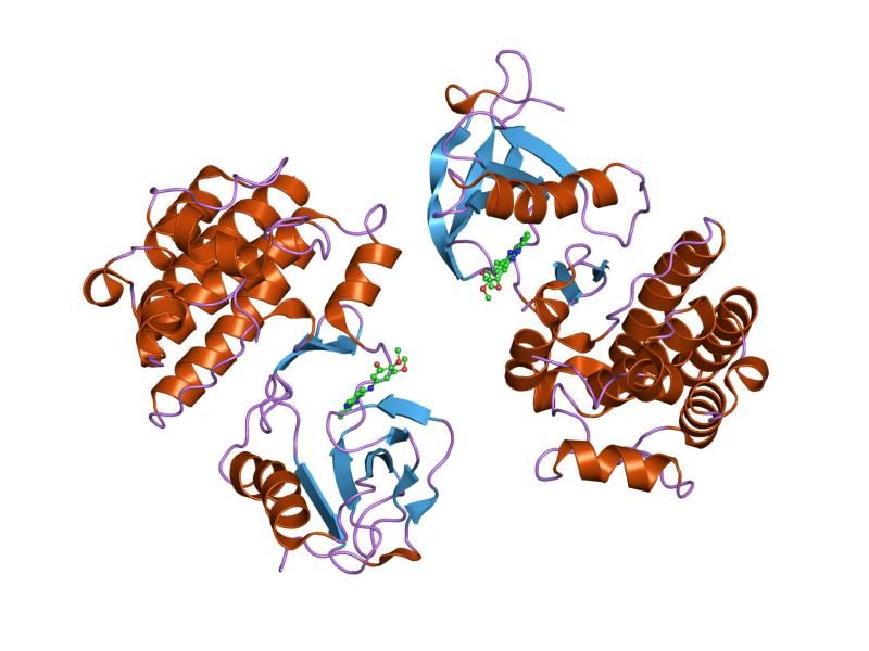 File:PDB 2etm EBI.jpg