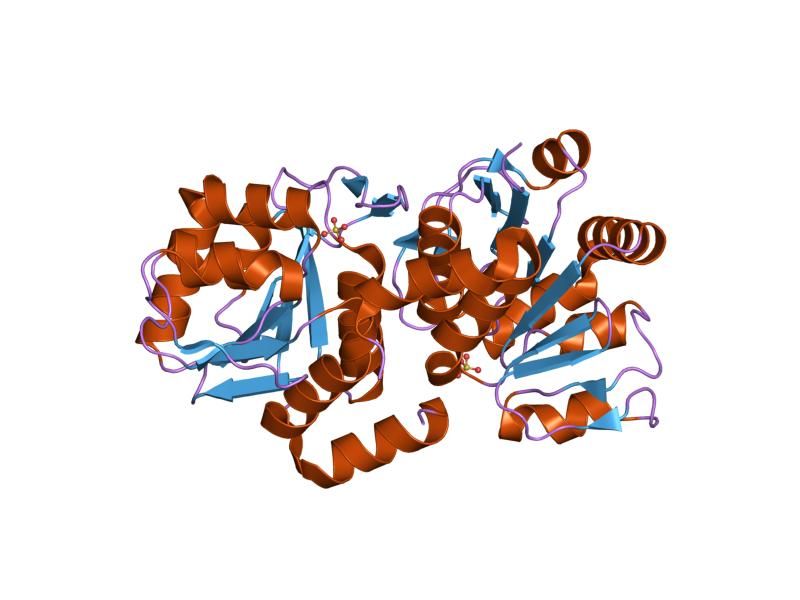 File:PDB 2or3 EBI.jpg