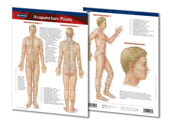 File:Permacharts accupuncture points.png