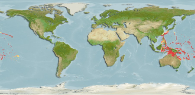 File:Range of Anomalops katoptron.png