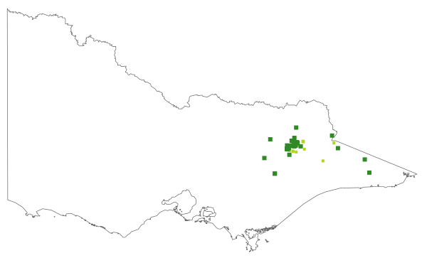 File:Vicflora-mapper-victoria outline vicflora-mapper-taxon occurrences.png