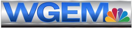 File:Wgemlogo.png