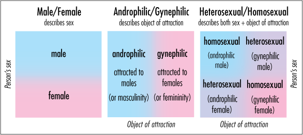 File:Androphilia-gynephilia.png