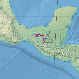 File:Ecoregion NT0113.png