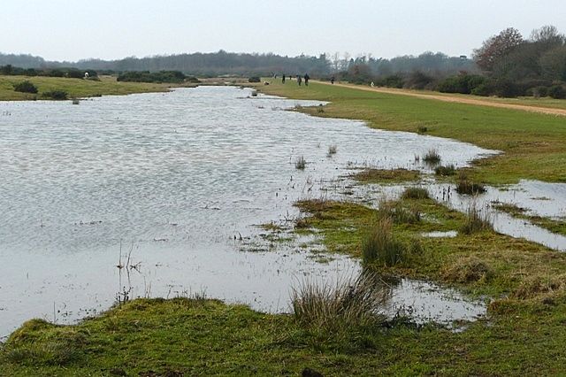 File:Greenham Common - geograph.org.uk - 1187356.jpg