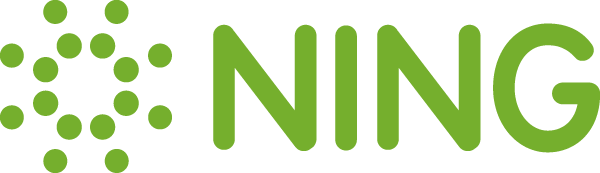 File:Ning-logo.png