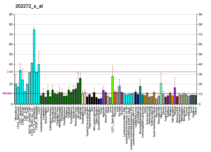 File:PBB GE FBXO28 202272 s at fs.png